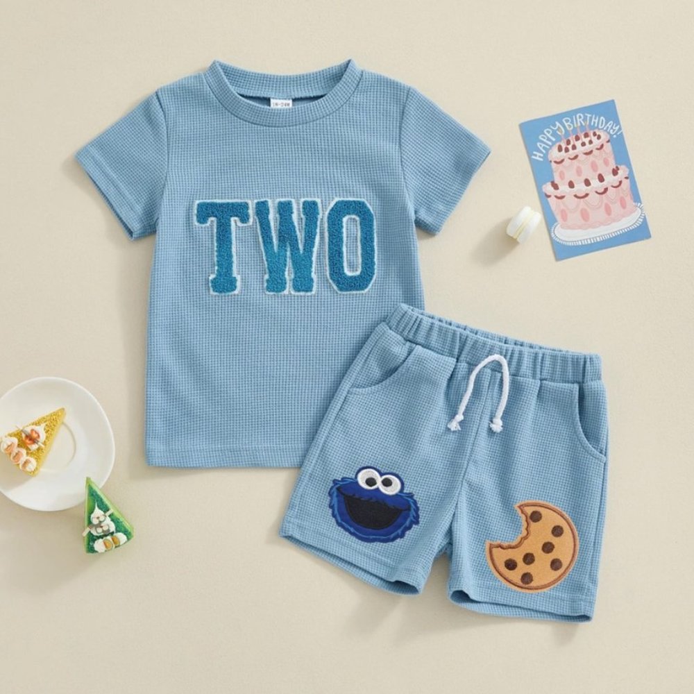 Boy Second Birthday Outfit Clothes Shirt Cookie Monster Shorts Sesame Street - Picture 1 of 3